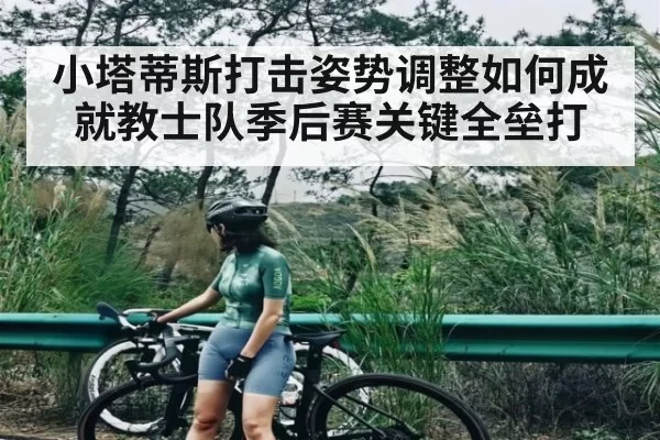小塔蒂斯打击姿势调整如何成就教士队季后赛关键全垒打(FPS)